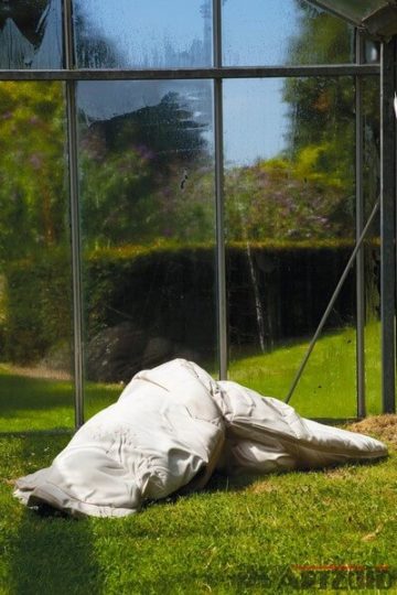 ARTZUID 2009 archief Kim de Ruysscher - "Inside"