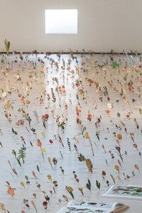 Eiji Watanabe - Garden of the Appellation