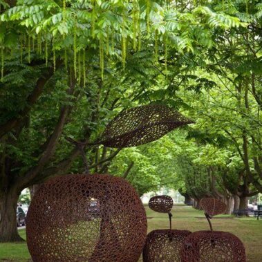 Frederic-Beaufils-Terroir-ARTZUID-2011-archief