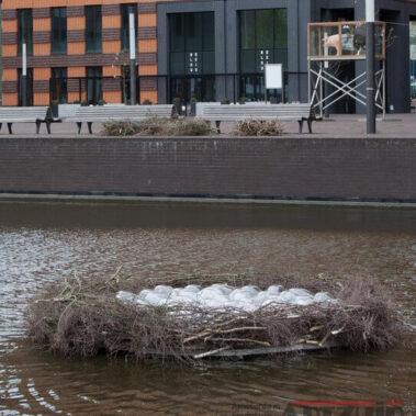 Koen Vanmechelen - Coming World C.C.P.-ARTZUID-2013-archief