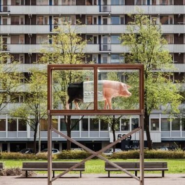 Koen Vanmechelen - Inzicht C.C.P.-ARTZUID-2013-archief