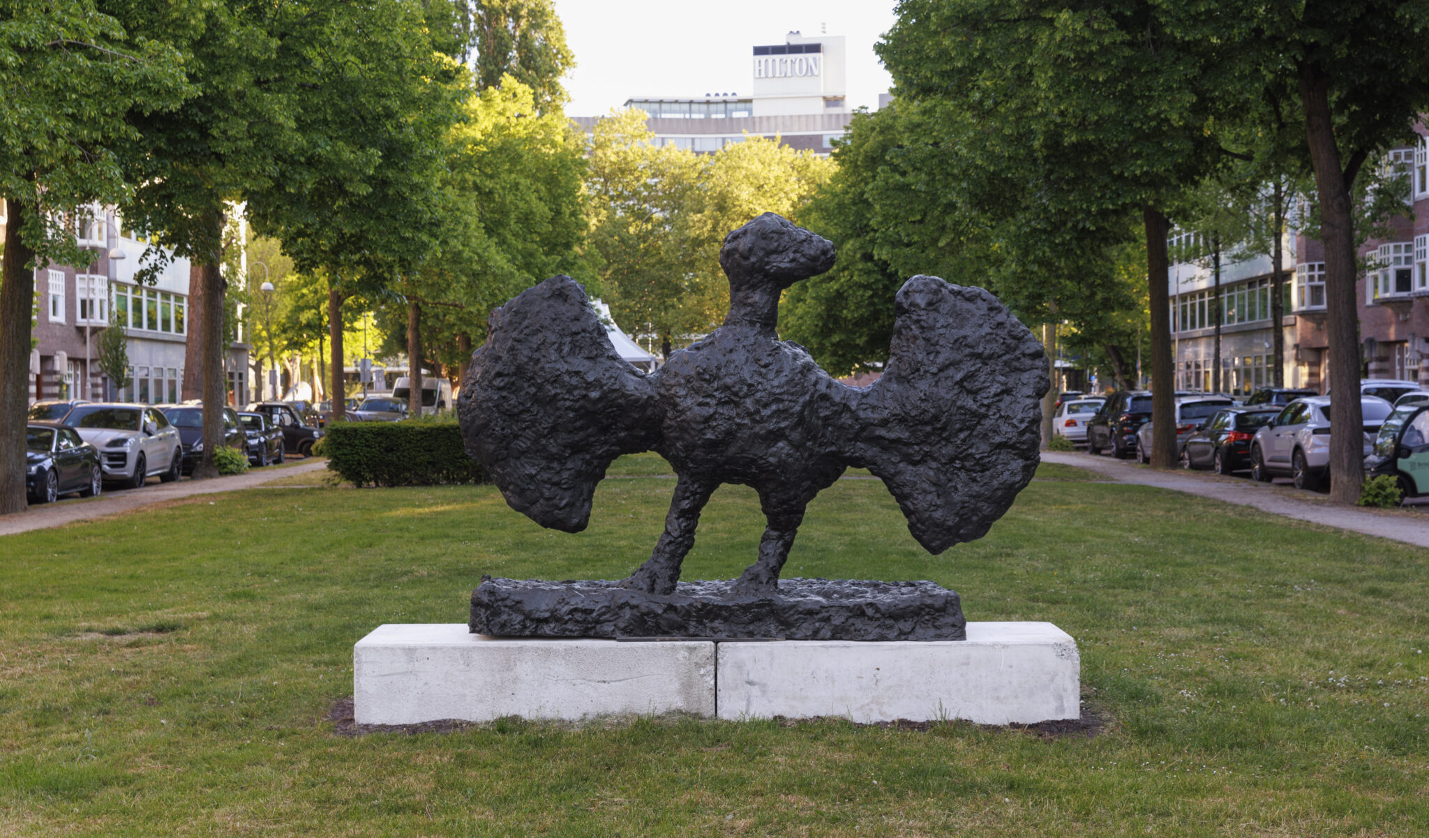 ARTZUID 2025 - Armando - Der Vogel