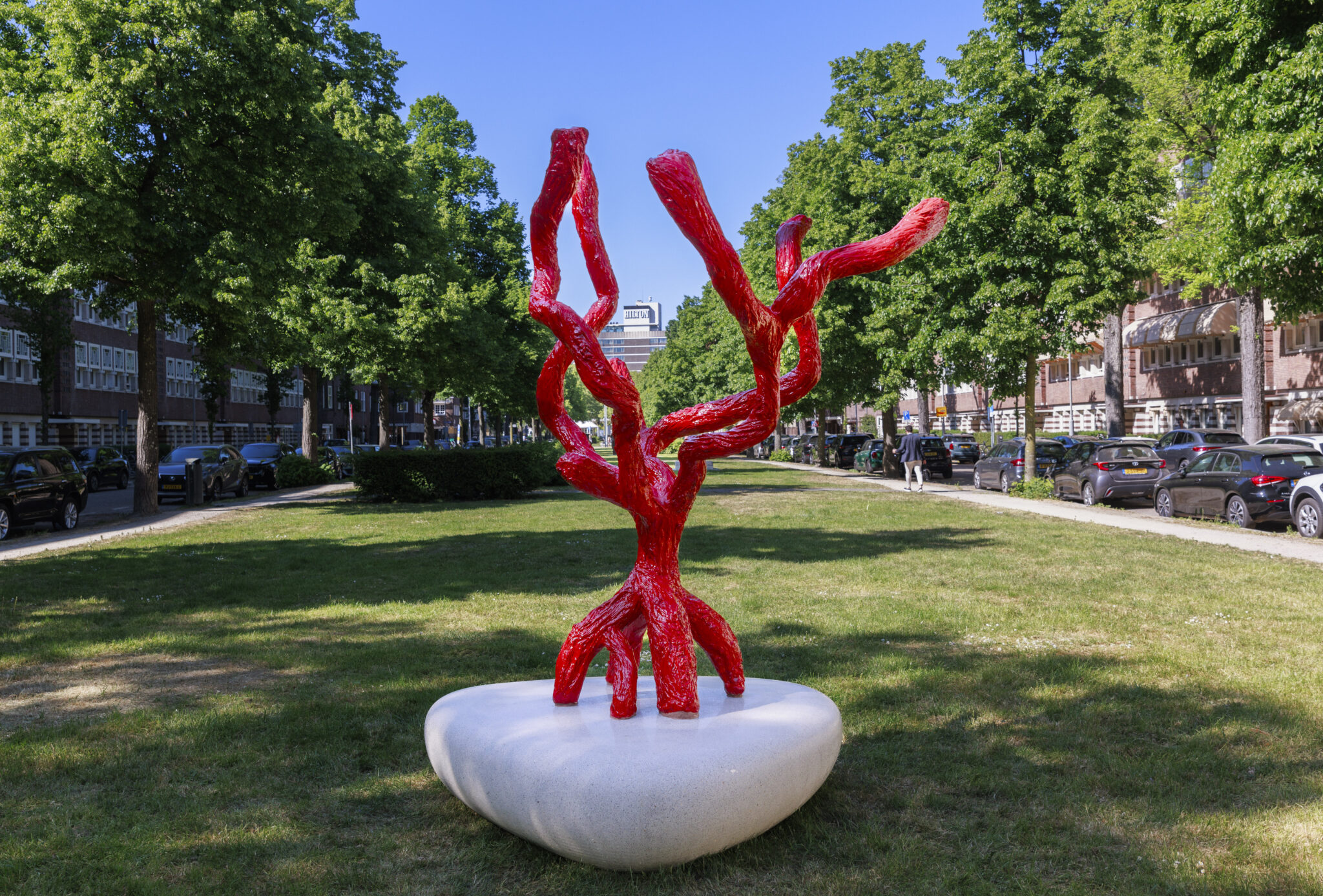 ARTZUID 2025 - Margot Berkman - Seaweed Skeleton nr.8
