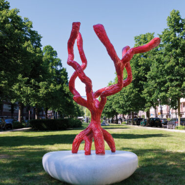 ARTZUID 2025 - Seaweed Skeleton