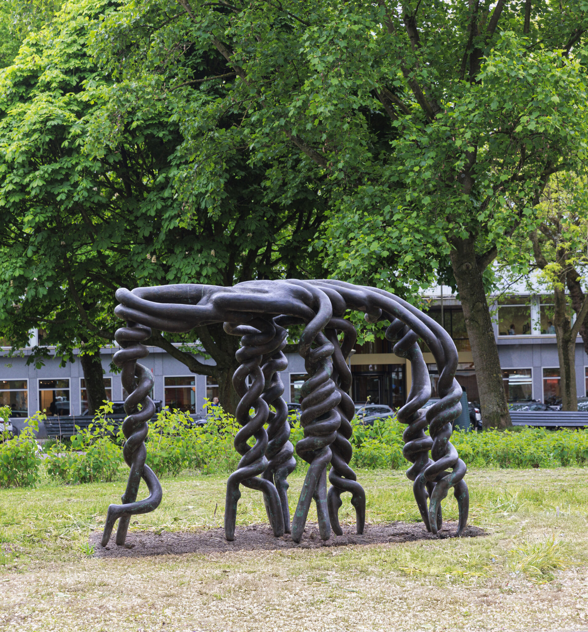 ARTZUID 2025 - Louise Schouwenberg - Verknoopt